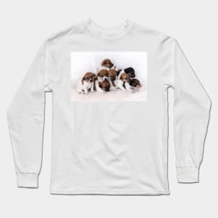 Belle's Babes Long Sleeve T-Shirt